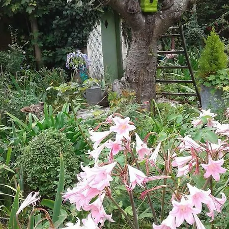 Appartamento Petite Plaisance Dinard